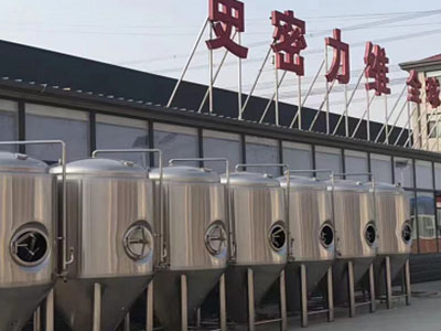 大兴精酿啤酒设备厂—市场规模与跨界新需求
